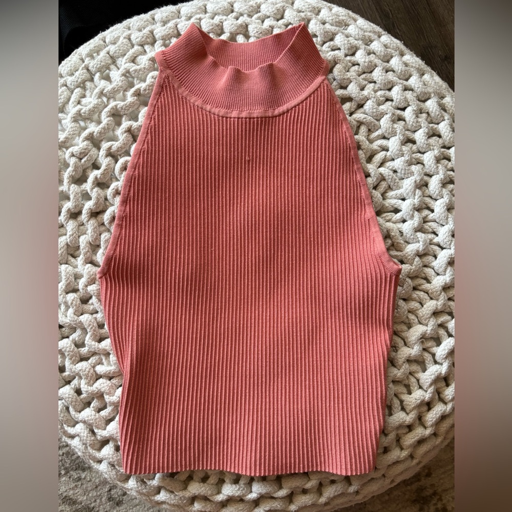 Babaton high neck top from Aritzia